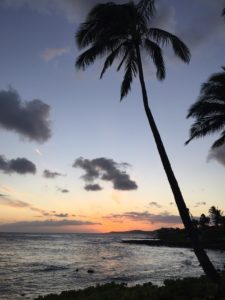 Hawaii a popular Christmas destination?